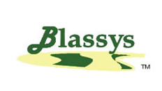Blassys...the Microenterprise eMagazine
