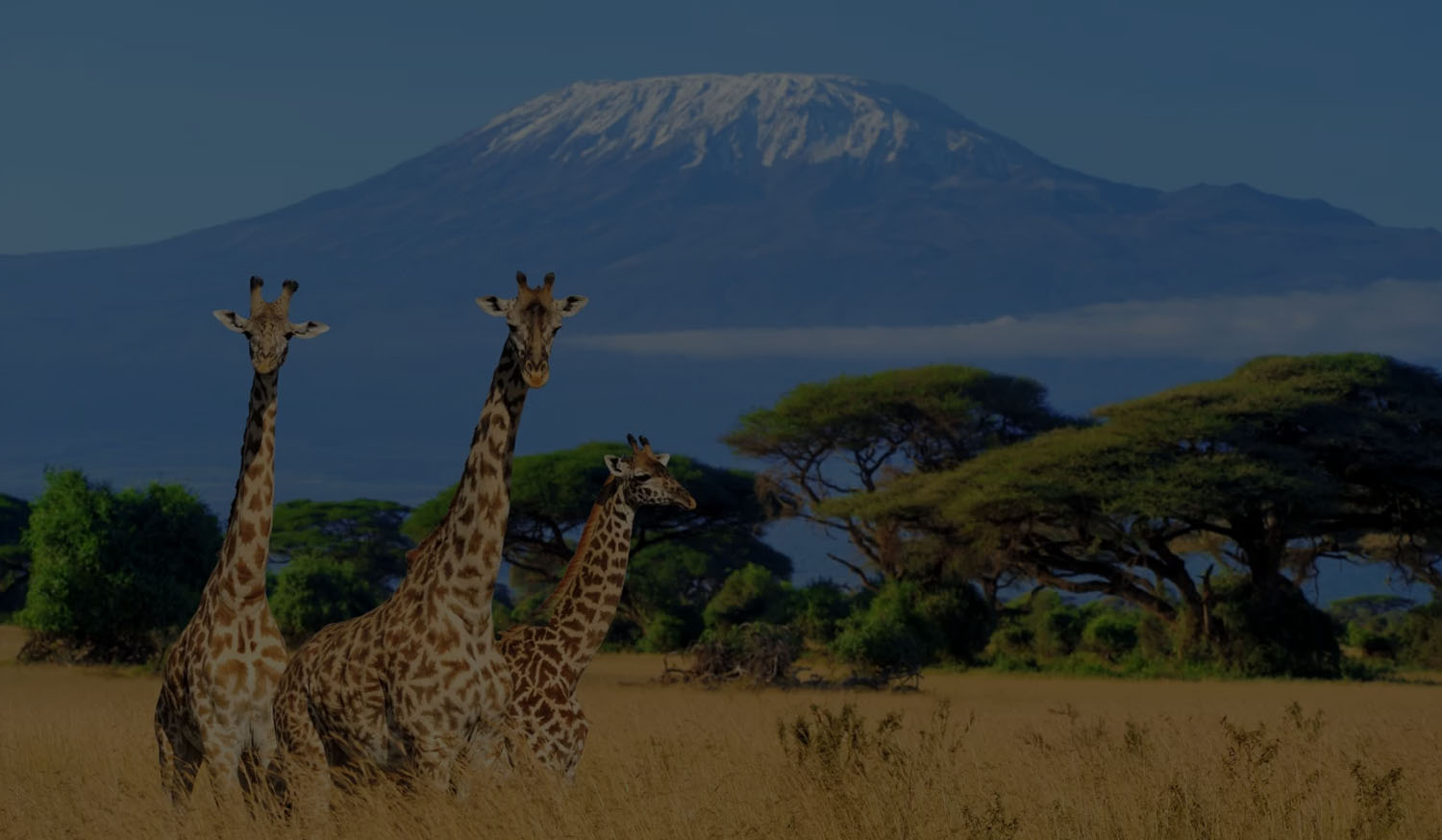header2